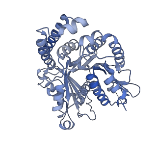 40220_8glv_L5_v1-2
96-nm repeat unit of doublet microtubules from Chlamydomonas reinhardtii flagella