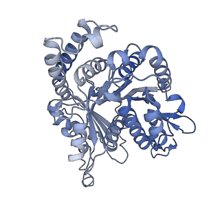 40220_8glv_L6_v1-2
96-nm repeat unit of doublet microtubules from Chlamydomonas reinhardtii flagella