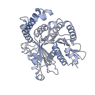 40220_8glv_L7_v1-2
96-nm repeat unit of doublet microtubules from Chlamydomonas reinhardtii flagella