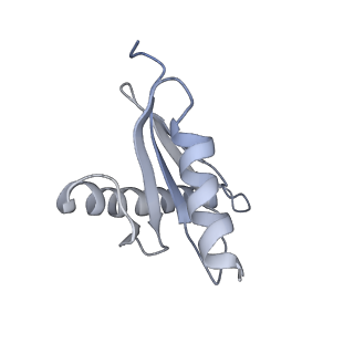 40220_8glv_L8_v1-2
96-nm repeat unit of doublet microtubules from Chlamydomonas reinhardtii flagella