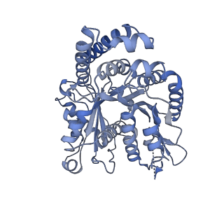 40220_8glv_L9_v1-2
96-nm repeat unit of doublet microtubules from Chlamydomonas reinhardtii flagella