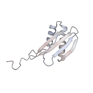 40220_8glv_LA_v1-2
96-nm repeat unit of doublet microtubules from Chlamydomonas reinhardtii flagella