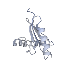 40220_8glv_LB_v1-2
96-nm repeat unit of doublet microtubules from Chlamydomonas reinhardtii flagella