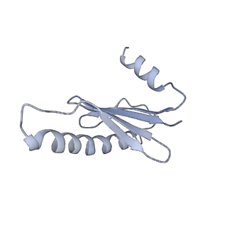 40220_8glv_LC_v1-2
96-nm repeat unit of doublet microtubules from Chlamydomonas reinhardtii flagella