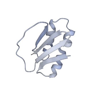 40220_8glv_LD_v1-2
96-nm repeat unit of doublet microtubules from Chlamydomonas reinhardtii flagella
