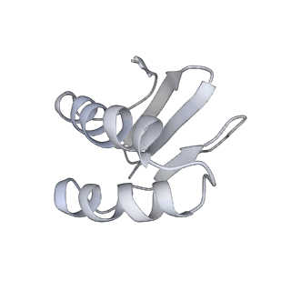 40220_8glv_LE_v1-2
96-nm repeat unit of doublet microtubules from Chlamydomonas reinhardtii flagella