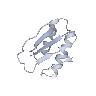 40220_8glv_LF_v1-2
96-nm repeat unit of doublet microtubules from Chlamydomonas reinhardtii flagella
