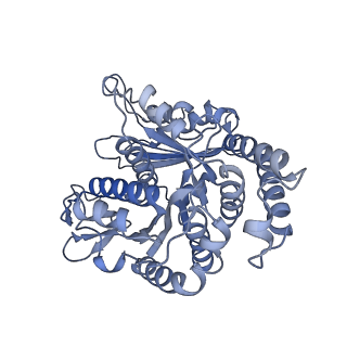 40220_8glv_LH_v1-2
96-nm repeat unit of doublet microtubules from Chlamydomonas reinhardtii flagella