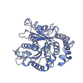 40220_8glv_LI_v1-2
96-nm repeat unit of doublet microtubules from Chlamydomonas reinhardtii flagella