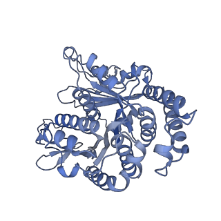 40220_8glv_LJ_v1-2
96-nm repeat unit of doublet microtubules from Chlamydomonas reinhardtii flagella