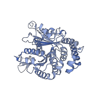 40220_8glv_LK_v1-2
96-nm repeat unit of doublet microtubules from Chlamydomonas reinhardtii flagella