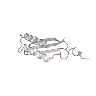 40220_8glv_LL_v1-2
96-nm repeat unit of doublet microtubules from Chlamydomonas reinhardtii flagella
