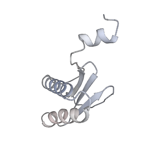 40220_8glv_LM_v1-2
96-nm repeat unit of doublet microtubules from Chlamydomonas reinhardtii flagella