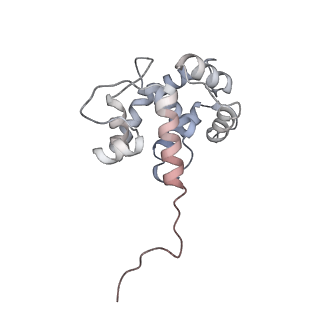 40220_8glv_LN_v1-2
96-nm repeat unit of doublet microtubules from Chlamydomonas reinhardtii flagella