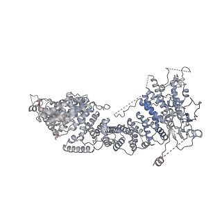 40220_8glv_LO_v1-2
96-nm repeat unit of doublet microtubules from Chlamydomonas reinhardtii flagella