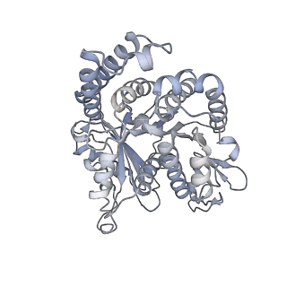 40220_8glv_LT_v1-2
96-nm repeat unit of doublet microtubules from Chlamydomonas reinhardtii flagella