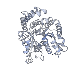 40220_8glv_LU_v1-2
96-nm repeat unit of doublet microtubules from Chlamydomonas reinhardtii flagella