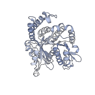 40220_8glv_LV_v1-2
96-nm repeat unit of doublet microtubules from Chlamydomonas reinhardtii flagella