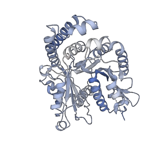 40220_8glv_LW_v1-2
96-nm repeat unit of doublet microtubules from Chlamydomonas reinhardtii flagella