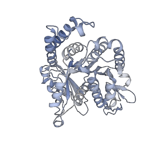 40220_8glv_LX_v1-2
96-nm repeat unit of doublet microtubules from Chlamydomonas reinhardtii flagella