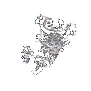 40220_8glv_LY_v1-2
96-nm repeat unit of doublet microtubules from Chlamydomonas reinhardtii flagella