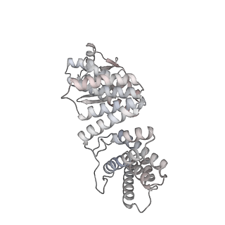 40220_8glv_Le_v1-2
96-nm repeat unit of doublet microtubules from Chlamydomonas reinhardtii flagella