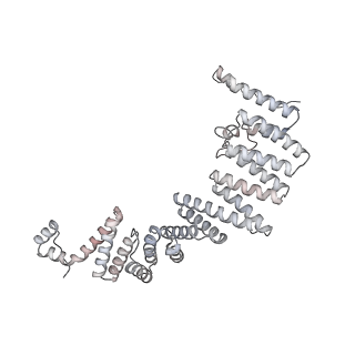 40220_8glv_Lf_v1-2
96-nm repeat unit of doublet microtubules from Chlamydomonas reinhardtii flagella