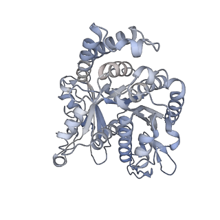 40220_8glv_Lh_v1-2
96-nm repeat unit of doublet microtubules from Chlamydomonas reinhardtii flagella