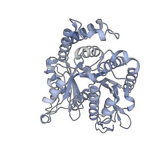 40220_8glv_Lj_v1-2
96-nm repeat unit of doublet microtubules from Chlamydomonas reinhardtii flagella