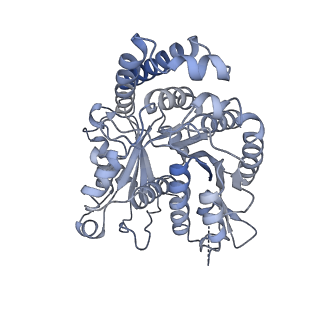 40220_8glv_Lk_v1-2
96-nm repeat unit of doublet microtubules from Chlamydomonas reinhardtii flagella