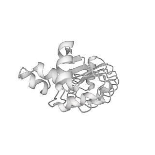 40220_8glv_Ll_v1-2
96-nm repeat unit of doublet microtubules from Chlamydomonas reinhardtii flagella