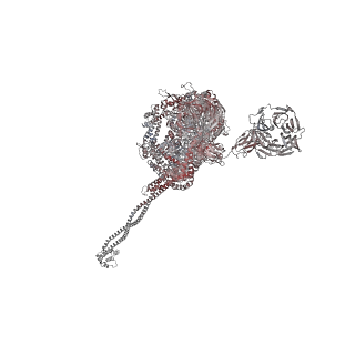 40220_8glv_Lm_v1-2
96-nm repeat unit of doublet microtubules from Chlamydomonas reinhardtii flagella