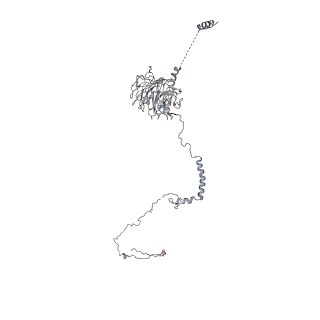 40220_8glv_Lq_v1-2
96-nm repeat unit of doublet microtubules from Chlamydomonas reinhardtii flagella
