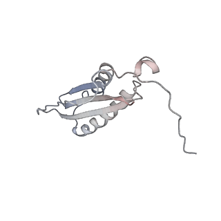 40220_8glv_Lr_v1-2
96-nm repeat unit of doublet microtubules from Chlamydomonas reinhardtii flagella