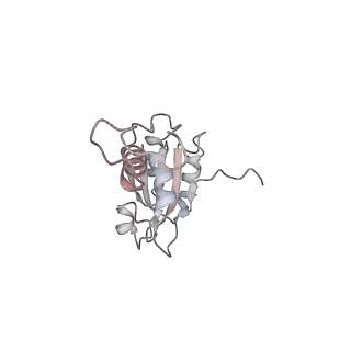 40220_8glv_Ls_v1-2
96-nm repeat unit of doublet microtubules from Chlamydomonas reinhardtii flagella