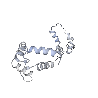 40220_8glv_Lt_v1-2
96-nm repeat unit of doublet microtubules from Chlamydomonas reinhardtii flagella