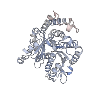 40220_8glv_Lu_v1-2
96-nm repeat unit of doublet microtubules from Chlamydomonas reinhardtii flagella