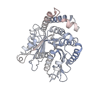 40220_8glv_Lv_v1-2
96-nm repeat unit of doublet microtubules from Chlamydomonas reinhardtii flagella