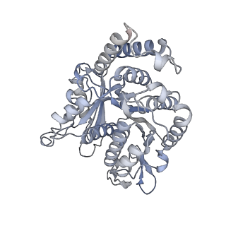 40220_8glv_Lw_v1-2
96-nm repeat unit of doublet microtubules from Chlamydomonas reinhardtii flagella
