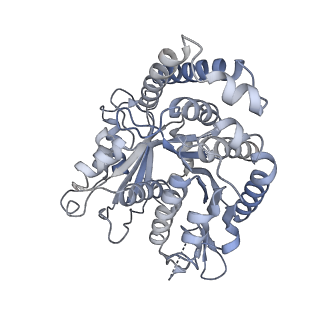 40220_8glv_Lx_v1-2
96-nm repeat unit of doublet microtubules from Chlamydomonas reinhardtii flagella