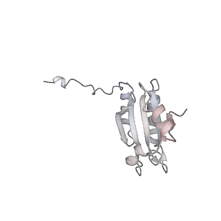 40220_8glv_Ly_v1-2
96-nm repeat unit of doublet microtubules from Chlamydomonas reinhardtii flagella