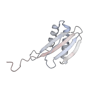 40220_8glv_Lz_v1-2
96-nm repeat unit of doublet microtubules from Chlamydomonas reinhardtii flagella
