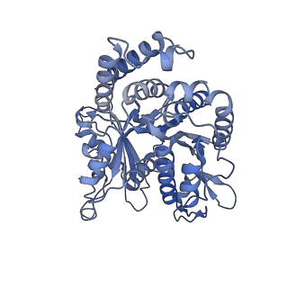 40220_8glv_M0_v1-2
96-nm repeat unit of doublet microtubules from Chlamydomonas reinhardtii flagella