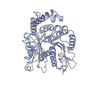 40220_8glv_M1_v1-2
96-nm repeat unit of doublet microtubules from Chlamydomonas reinhardtii flagella