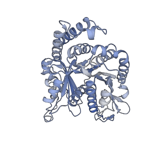 40220_8glv_M2_v1-2
96-nm repeat unit of doublet microtubules from Chlamydomonas reinhardtii flagella