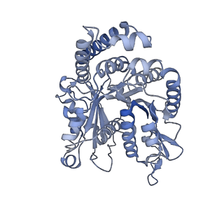 40220_8glv_M3_v1-2
96-nm repeat unit of doublet microtubules from Chlamydomonas reinhardtii flagella
