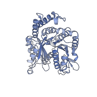 40220_8glv_M4_v1-2
96-nm repeat unit of doublet microtubules from Chlamydomonas reinhardtii flagella