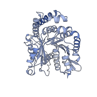 40220_8glv_M5_v1-2
96-nm repeat unit of doublet microtubules from Chlamydomonas reinhardtii flagella