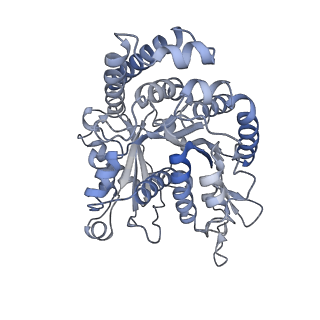 40220_8glv_M7_v1-2
96-nm repeat unit of doublet microtubules from Chlamydomonas reinhardtii flagella