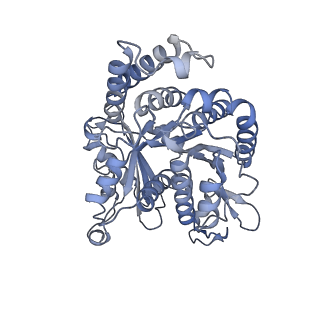 40220_8glv_M8_v1-2
96-nm repeat unit of doublet microtubules from Chlamydomonas reinhardtii flagella